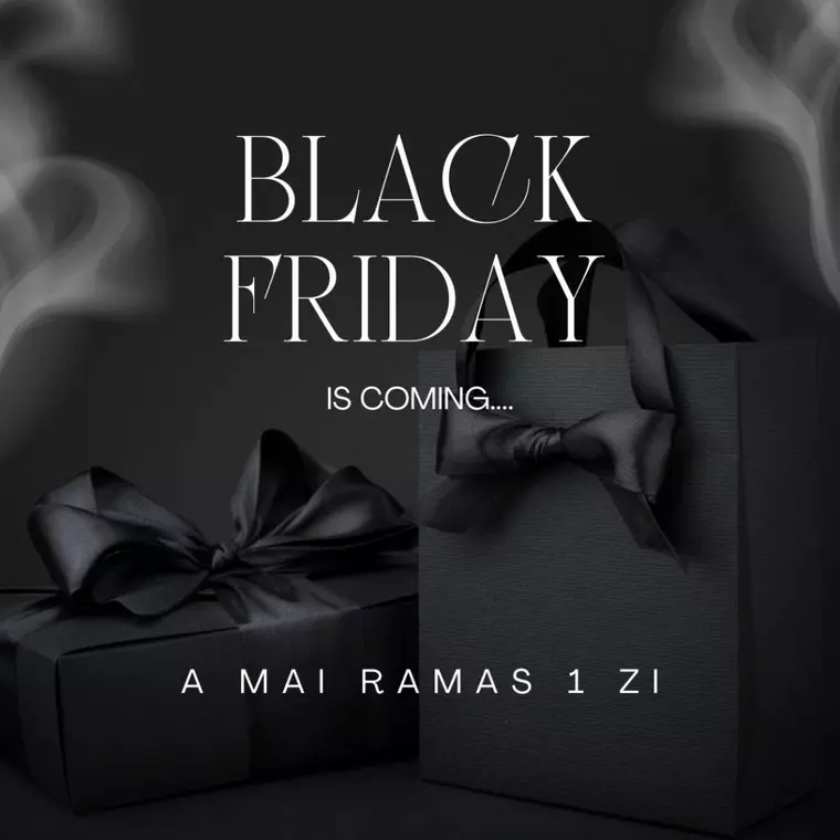 Black Friday la hainele de blană și piele!