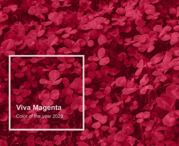 Viva Magenta a fost aleasă culoarea anului 2023. Cum arată  nuanța "curajoasă și vibrantă"