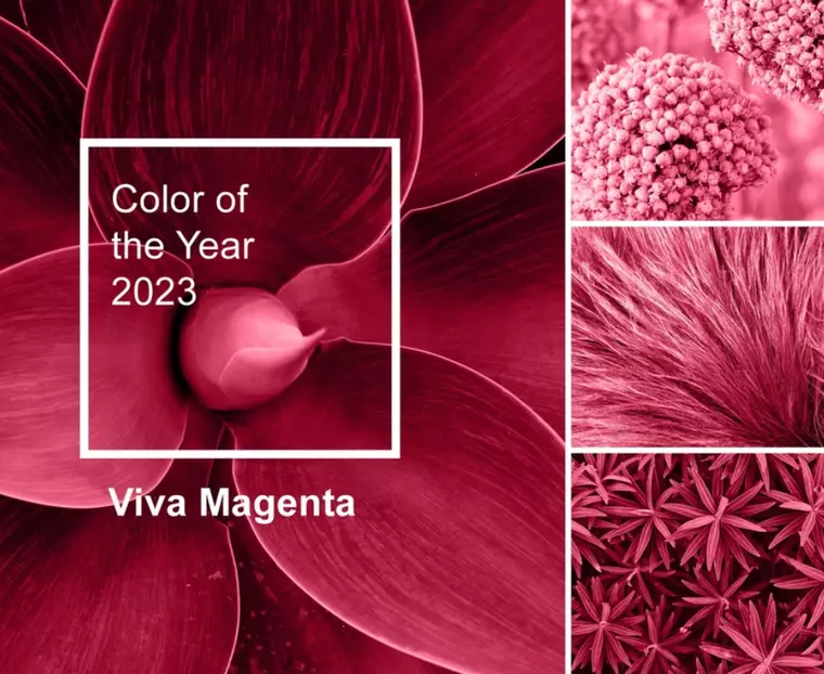 Viva Magenta a fost aleasă culoarea anului 2023. Cum arată  nuanța "curajoasă și vibrantă"