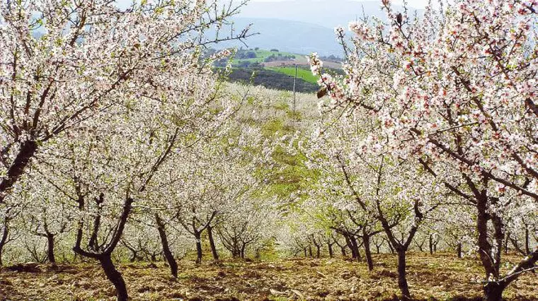 Ce țări poți să vizitezi în luna martie. Destinații istorice și exotice