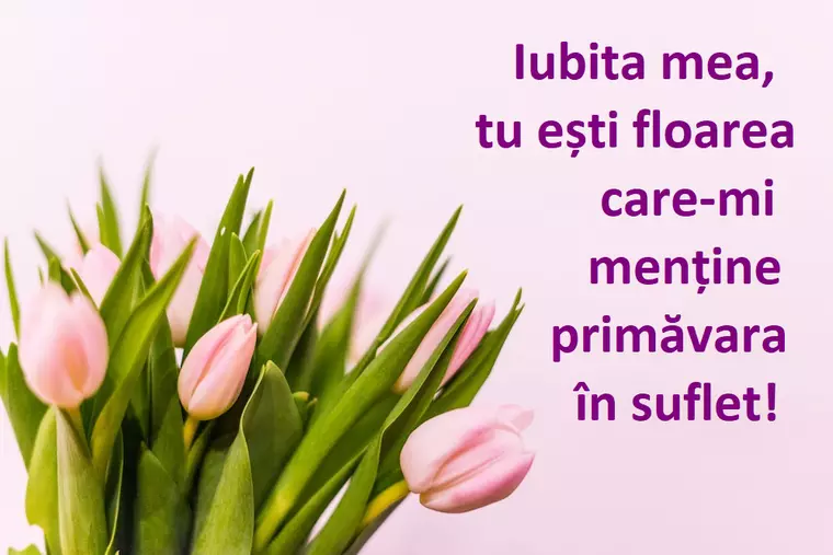 Mesaje de Dragobete. Urări și felicitări de 24 februarie