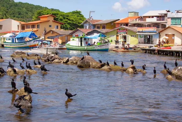 Ce să vizitezi în Brazilia, țara Carnavalului de la Rio