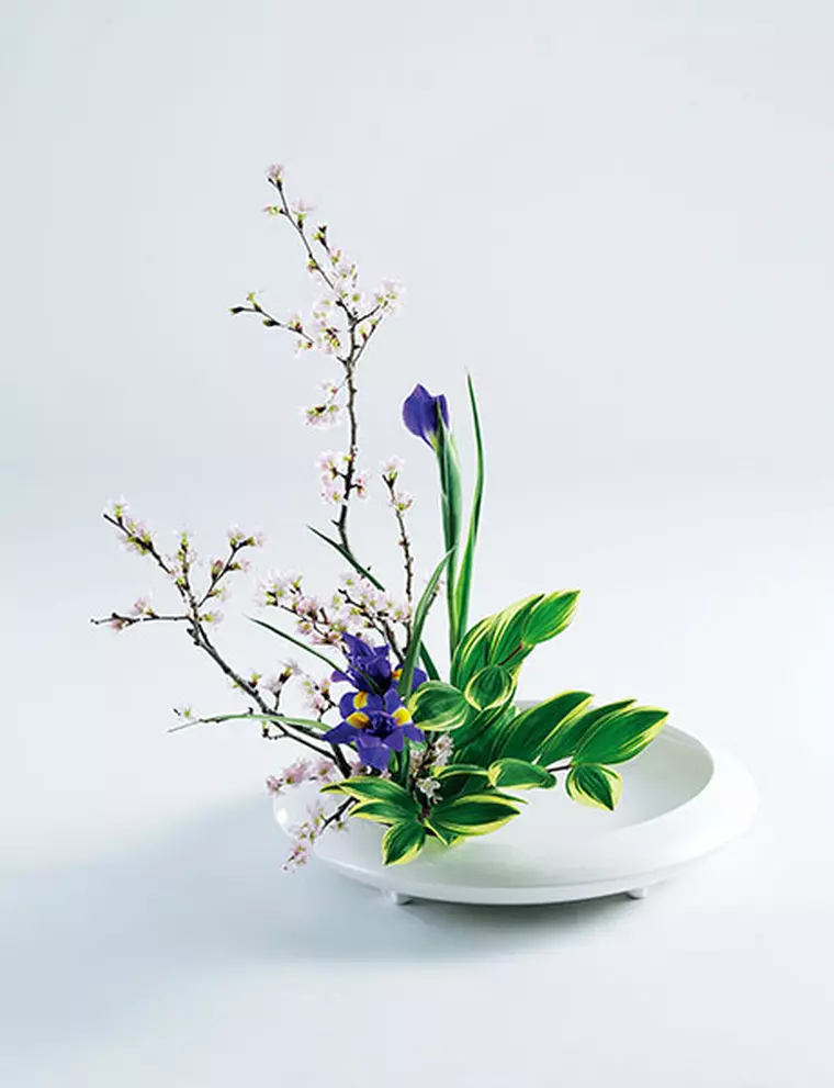 Ce este ikebana și ce mesaje transmite arta japoneză a florilor
