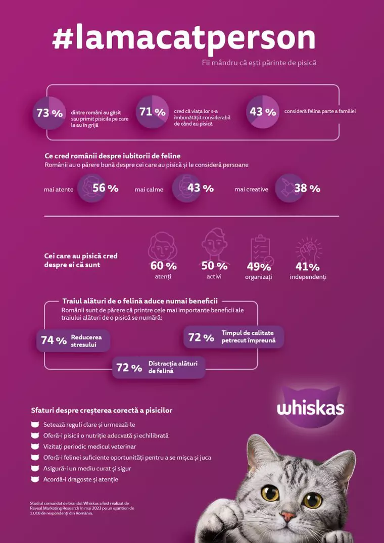 Interviu Candice-Prohanca Dragotă: Despre beneficiile traiului alături de pisică și inițiativa #Iamacatperson lansată de Whiskas