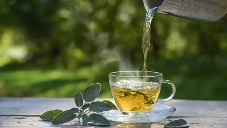 Ce se întâmplă în organismul tău atunci când bei ceai verde