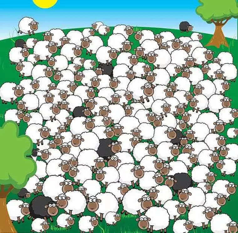 Află dacă eşti un geniu! Găseşte câinele în turma de oi în doar 5 secunde!