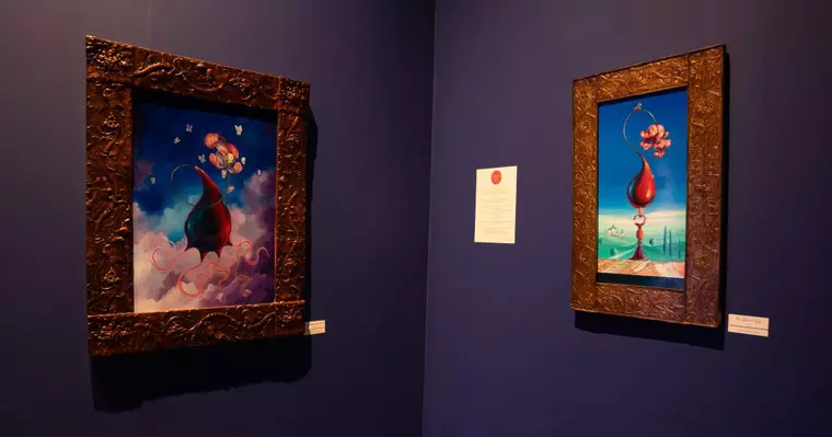 Maze of Wonders by Hamid Nicola Katrib