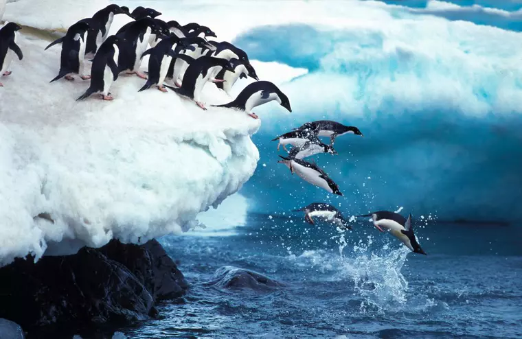 Antarctica - curiozități despre continentul mai mare decât Europa