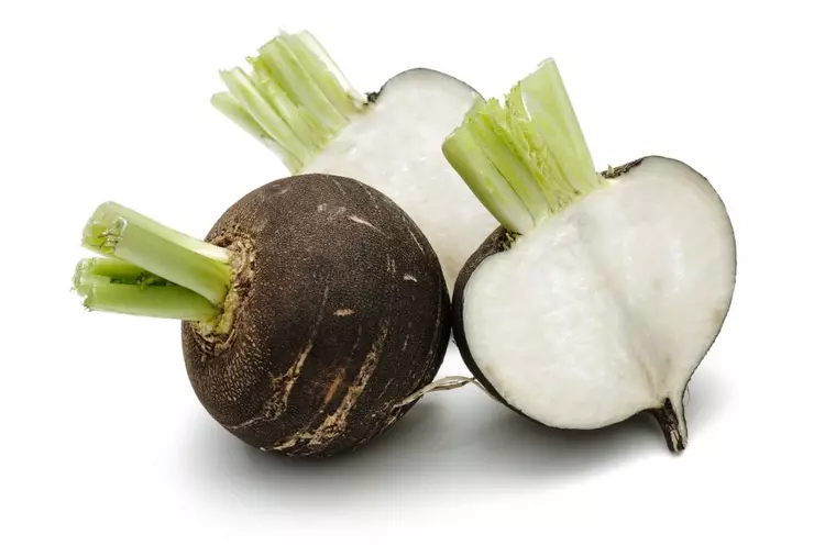 Beneficiile siropului de ridiche neagră cu miere