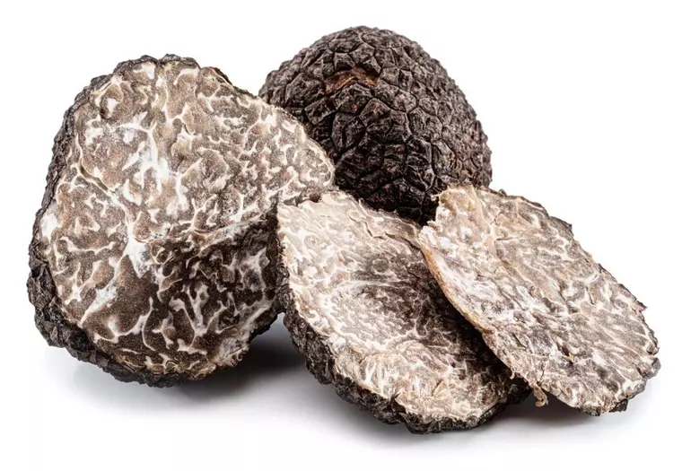 Care sunt cele mai potrivite rase de câini pentru căutat trufe