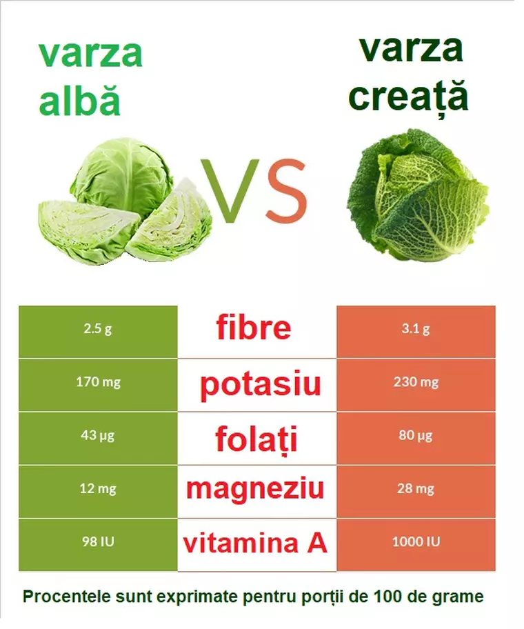 Varza de Savoia – cât de bună este varza creață