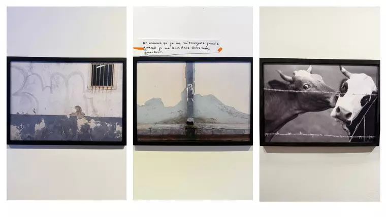 Francezii dedică un festival culturii române. Jidvei aduce un omagiu spiritului românesc și lansează colecția “Spirit”, în premieră la Paris.