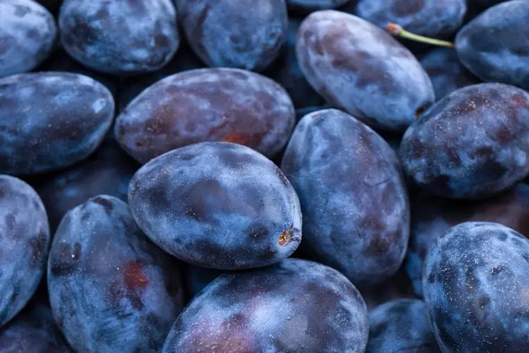 Cum faci magiun de prune fără zahăr - reţetă tradiţională