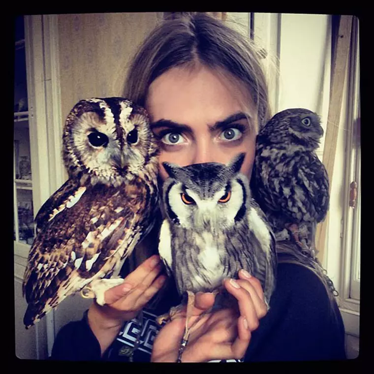Cara delevingne and her owls