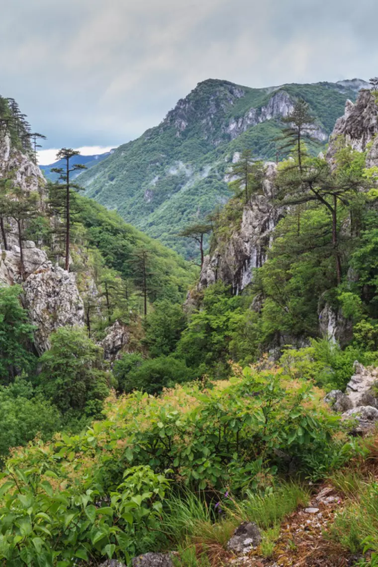 Valea Cernei 