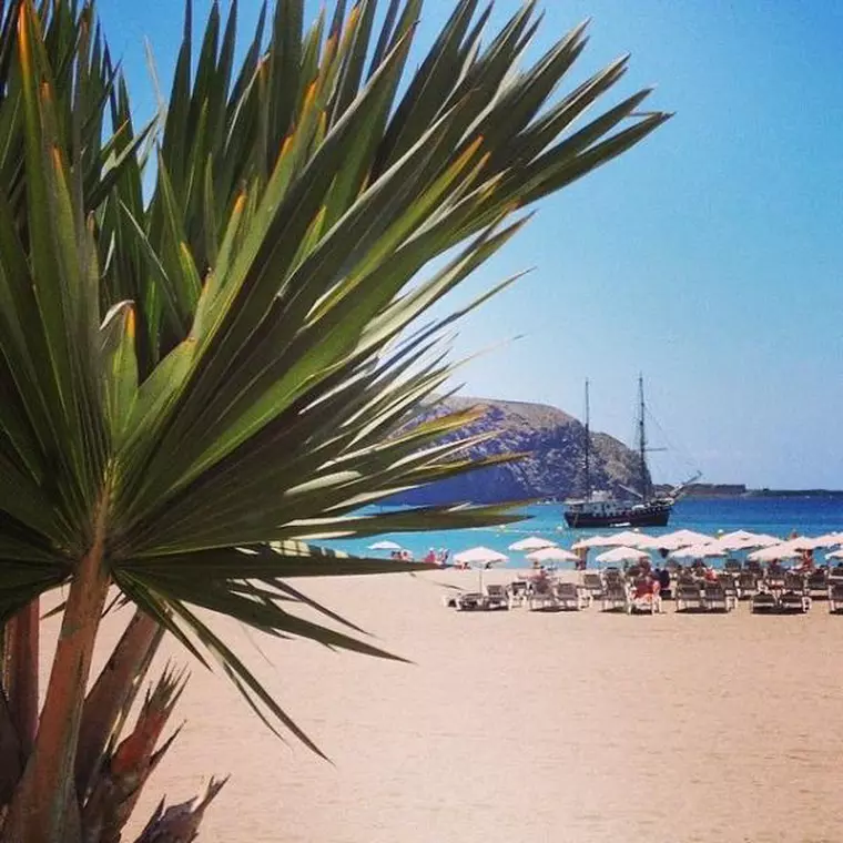 viva.Tenerife1