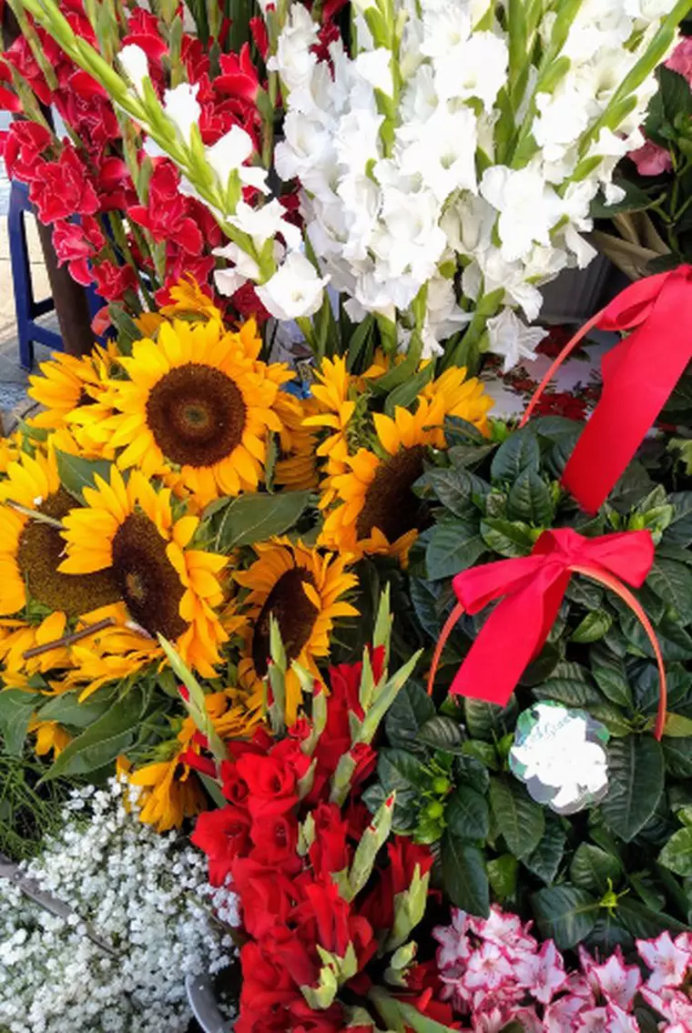 Camera telefonului moto g6 play m-a convins că nu mai am nevoie de un aparat foto profesional.