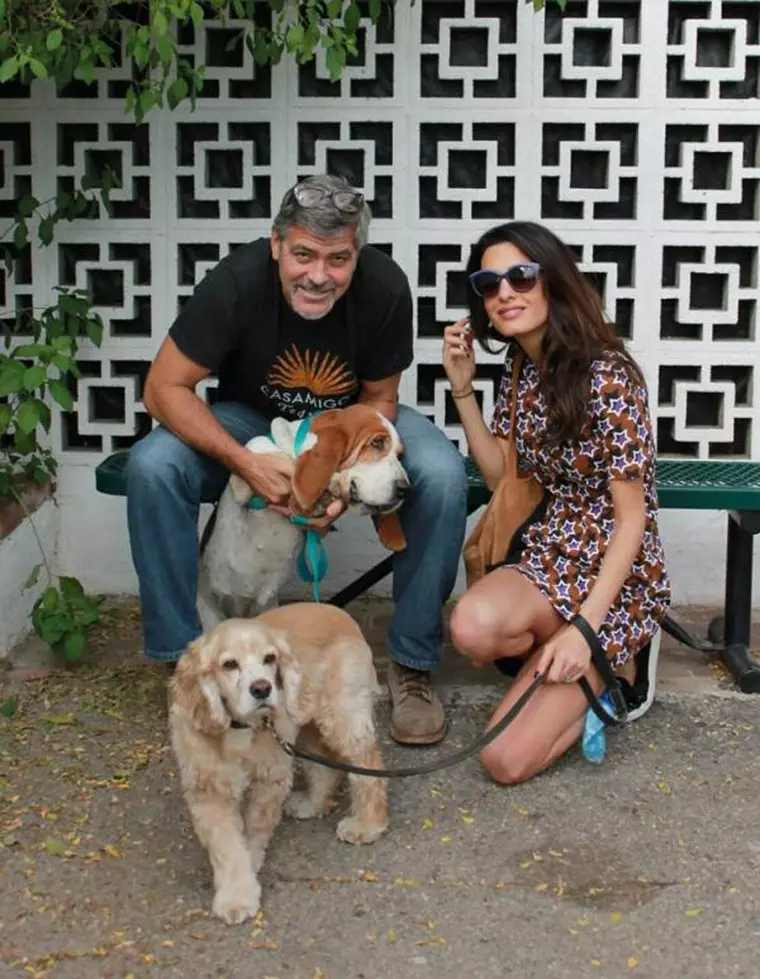 clooney2