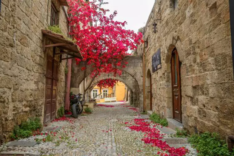 viva.Rhodos.1