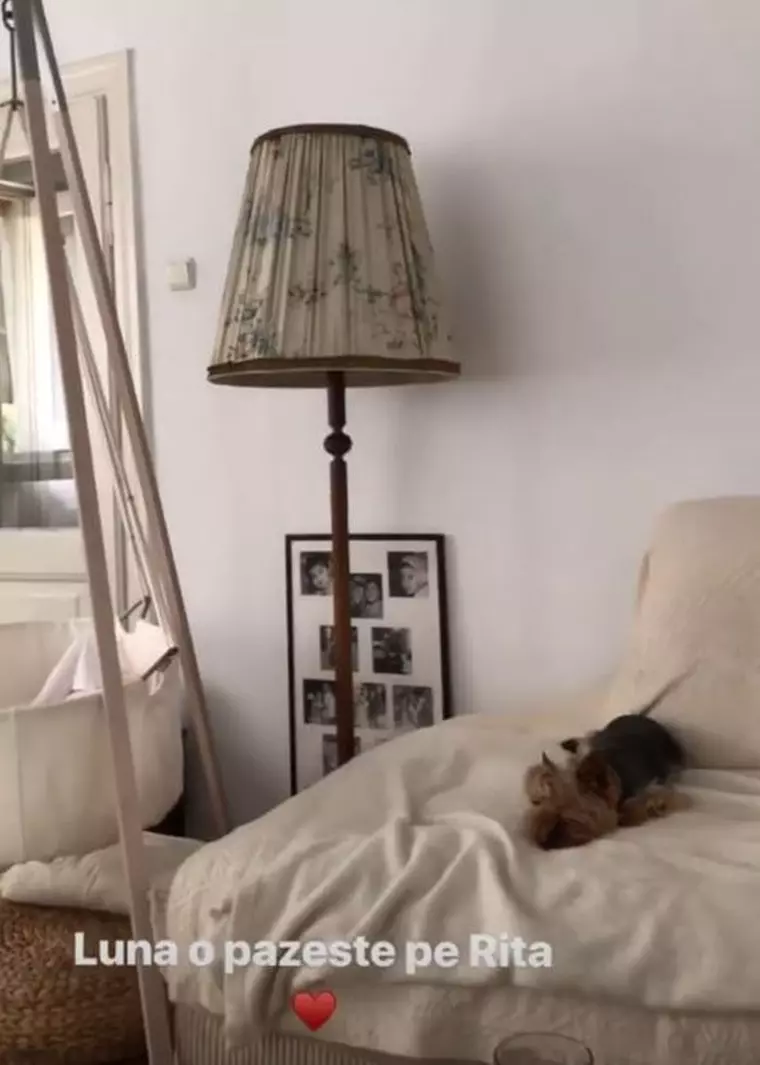 Rita este supravegheată și de cățelul familiei