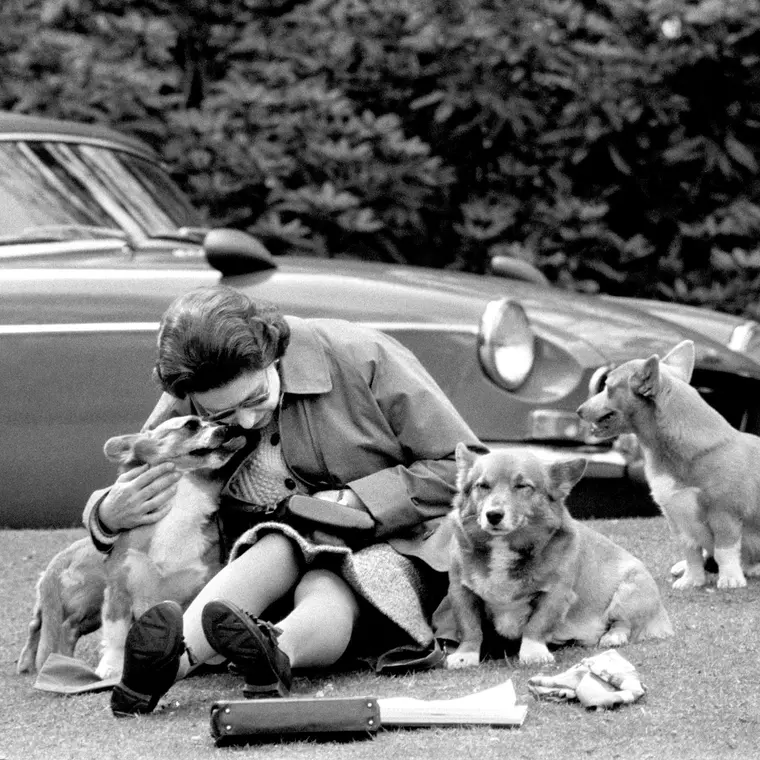 Regina alături de cățeii ei corgi, în 1973.