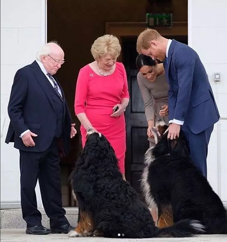 Harry și Meghan sunt mari iubitori de căței. Aici, în vizită de stat în Irlanda.
