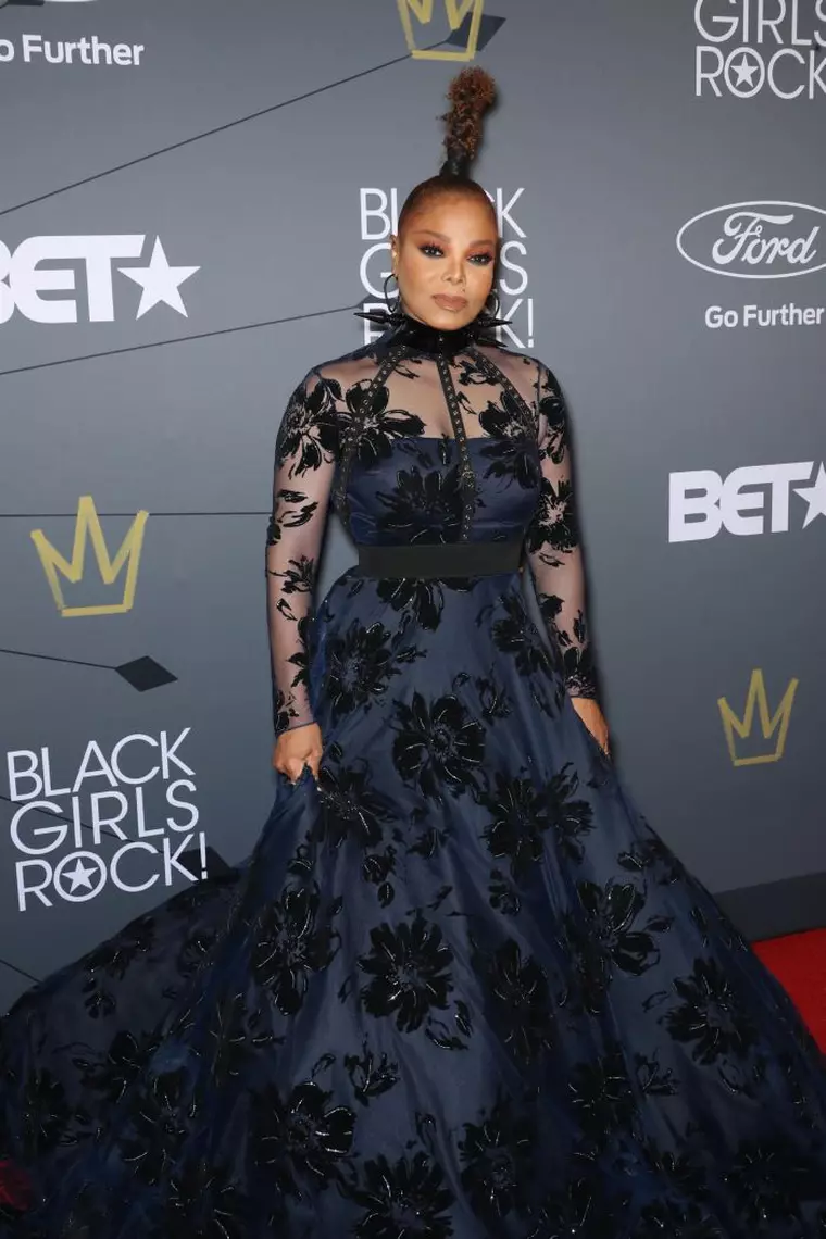 În afară de Michael Jackson, Janet Jacksin este singura din familia lor de artiști care a avut succes.