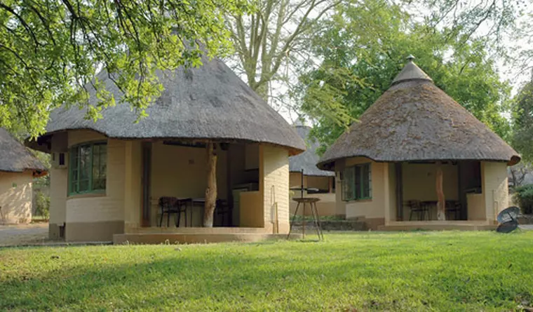 safari, Africa