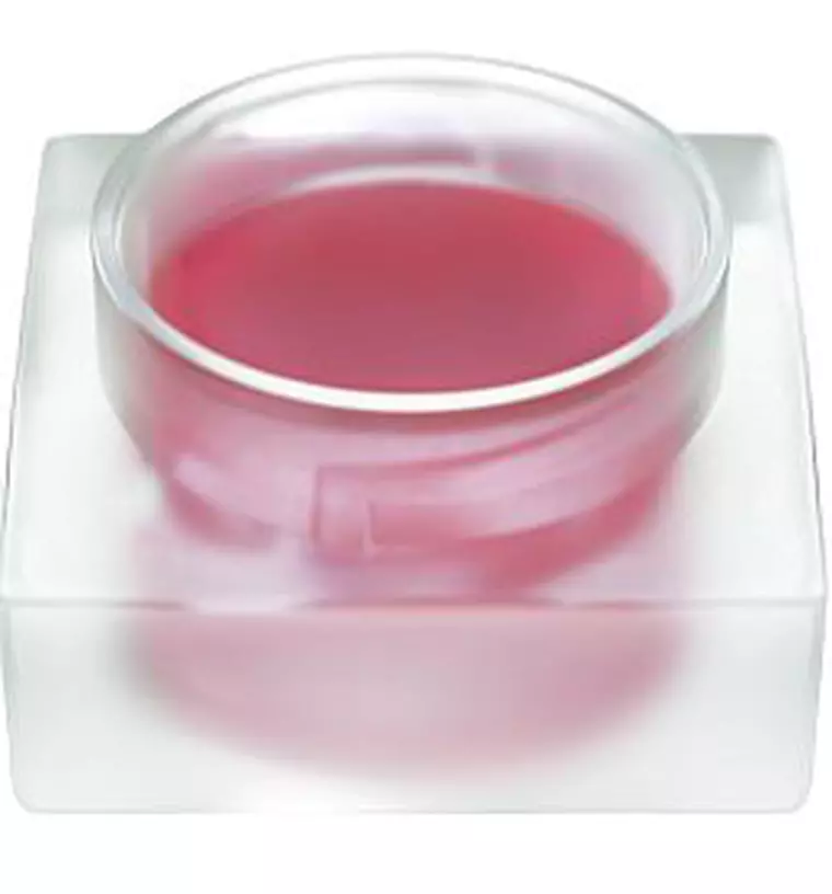 Bio Sante