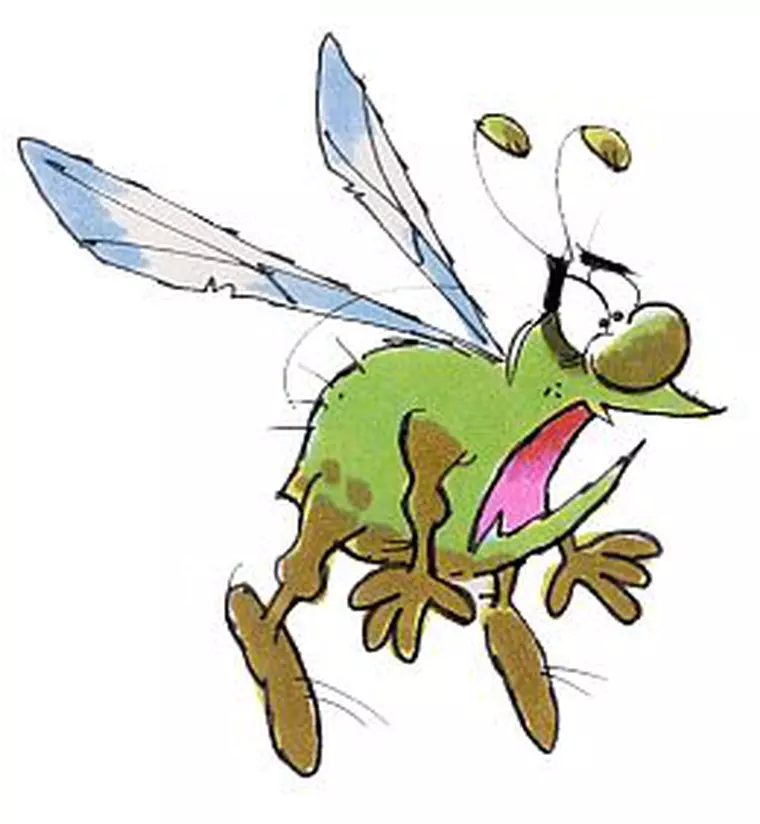 Raid