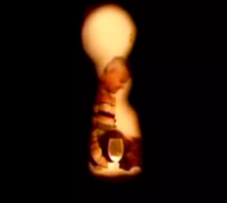 irinel-columbeanu-sex-oral-9