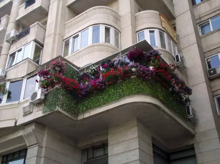cel mai frumos balcon premiul  1 Sofran Radu