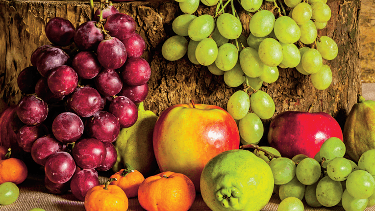 Cum poti pastra fructele pe timpul iernii