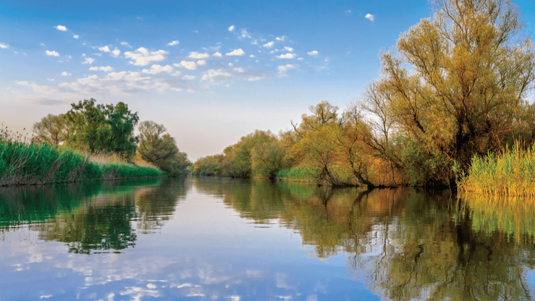 Frumusetea Deltei Dunarii