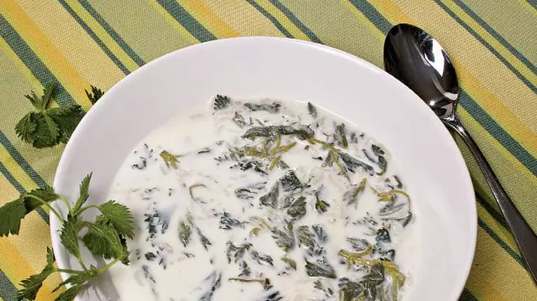 Supă leşească de urzici