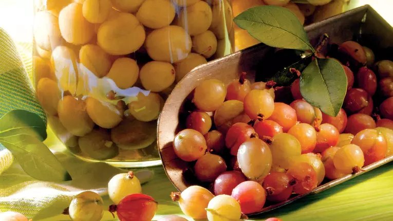 Delicatesă cu agrişe