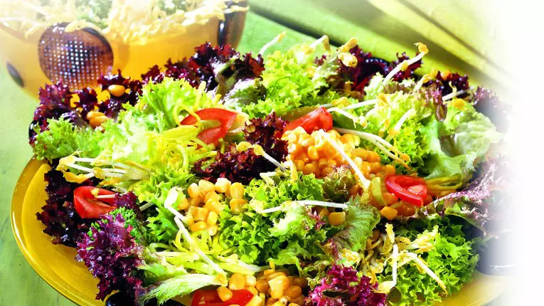 Salată cu porumb dulce şi germeni de soia