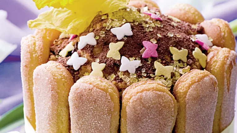 Şarlotă de ciocolată