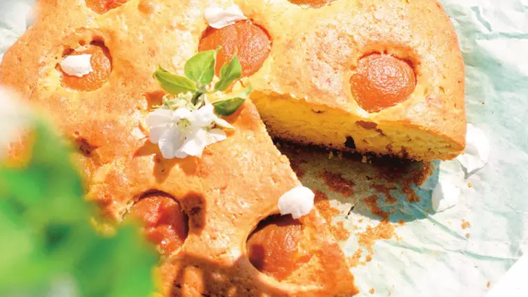 Prăjitură cu brânză şi caise