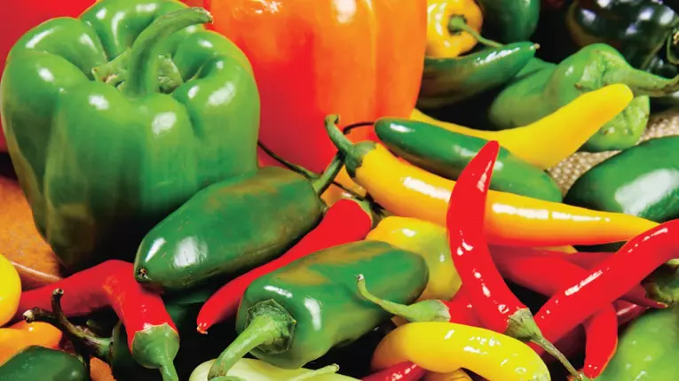 Ardeii, buni in preparate