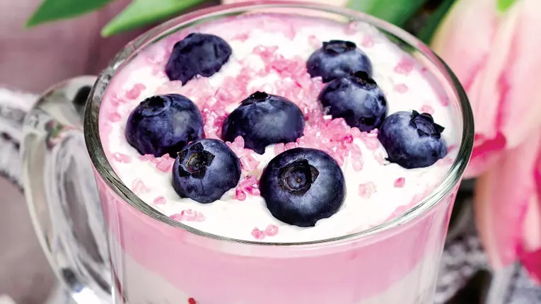 Desert racoritor cu iaurt si fructe