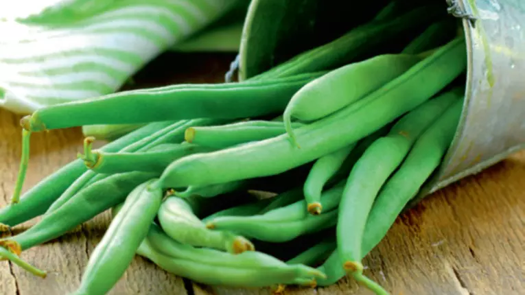 Cum pastrezi fasolea verde