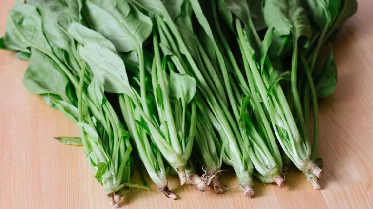 Spanacul, sursa bogata de fier si vitamine