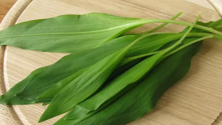 Cum sa gatesti leurda