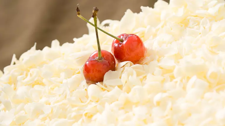 Lasagna cu ciocolata alba