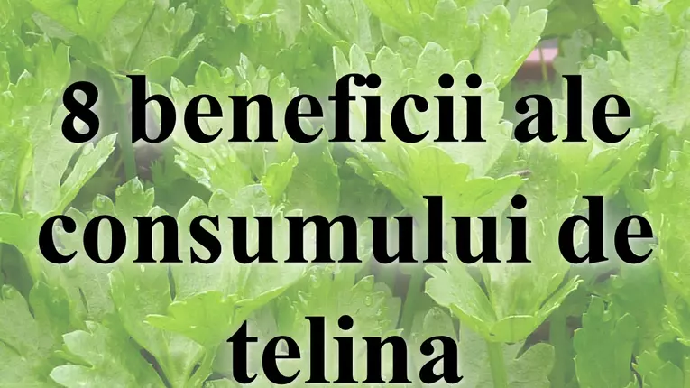 8 beneficii ale telinei