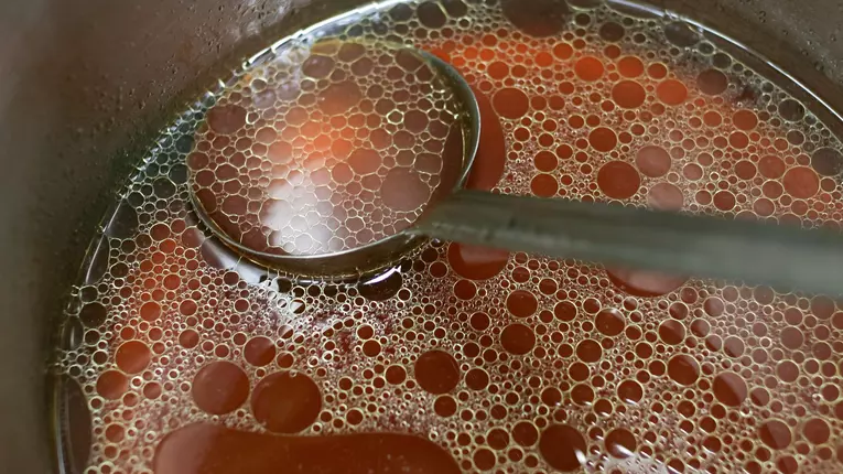 Supa concentrata de vita