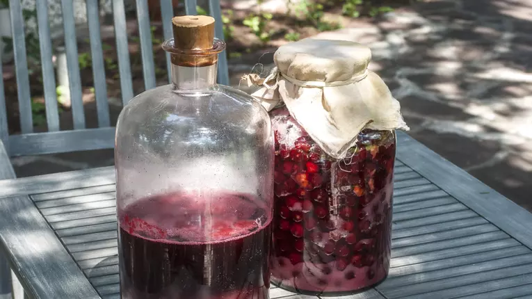 Cum prepari visinata de casa