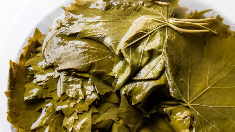 Cum pui frunze de vita de vie la pastrare pentru iarna