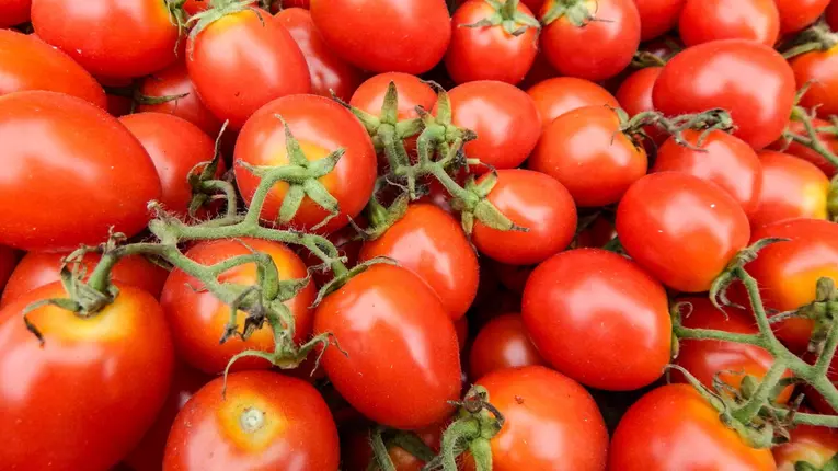 Beneficiile rosiilor pentru sanatate